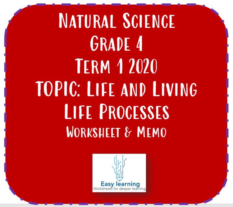 ns-gr-4-life-processes-term-1-worksheet-teacha